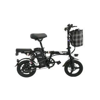 NYC Folding Electric Bike 48V