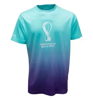 FIFA world cup qatar 2022 MEN GRADIENT JERSY M FMT034