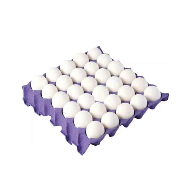 FRESH WHITE EGGS (IRAN) 30S