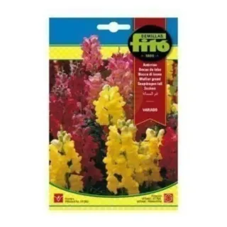 Fito Seeds Snapdragon Tall Mixed 05057