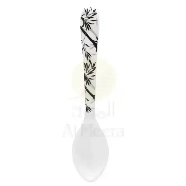 IVA DESSERT SPOON 18.5CM CO0402