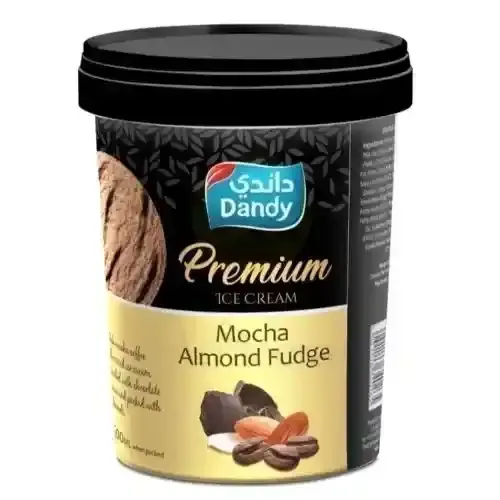 Dandy Premium Ice Cream Mocha Almond Fudge 500Ml
