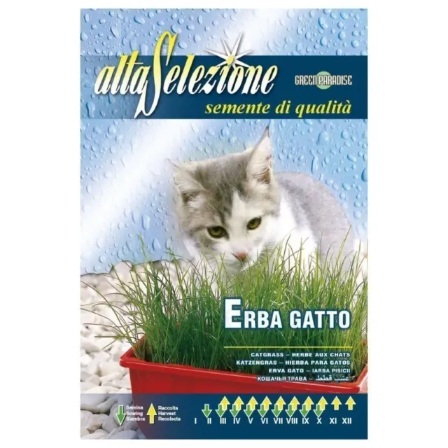 Alta Flower Seeds Cat Grass Erba Gatto