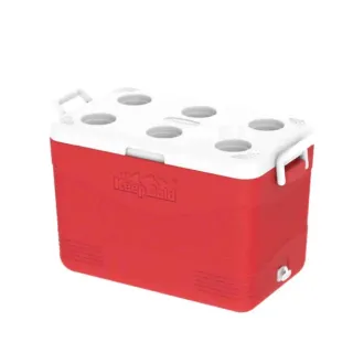 Cosmo Ice Box Deluxe 46 L