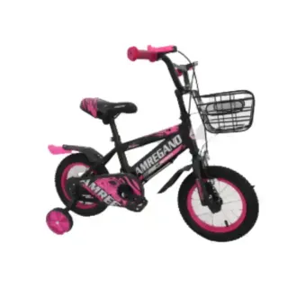 NYC Kids Bicycle 12