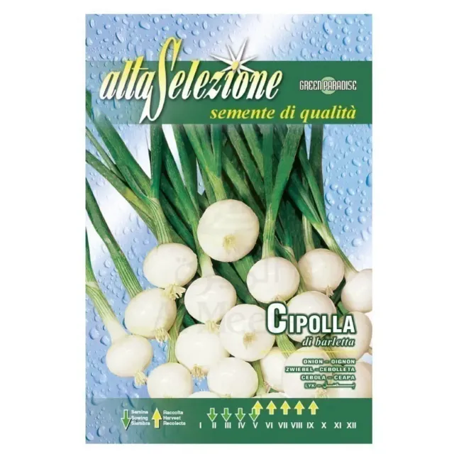 Alta Onion Seeds 3g