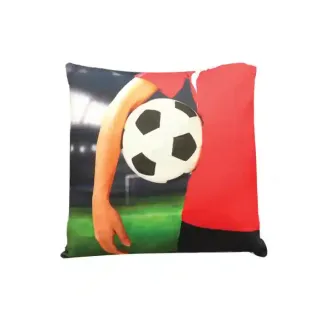 MD Season Cushion 1378