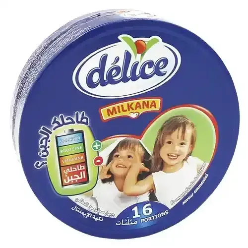 Delice Cheese Triangles 16 pcs 208 g