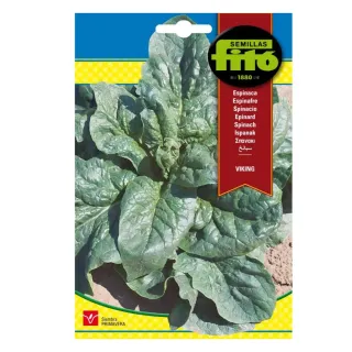 Fito Seeds Spinach Viking 0115