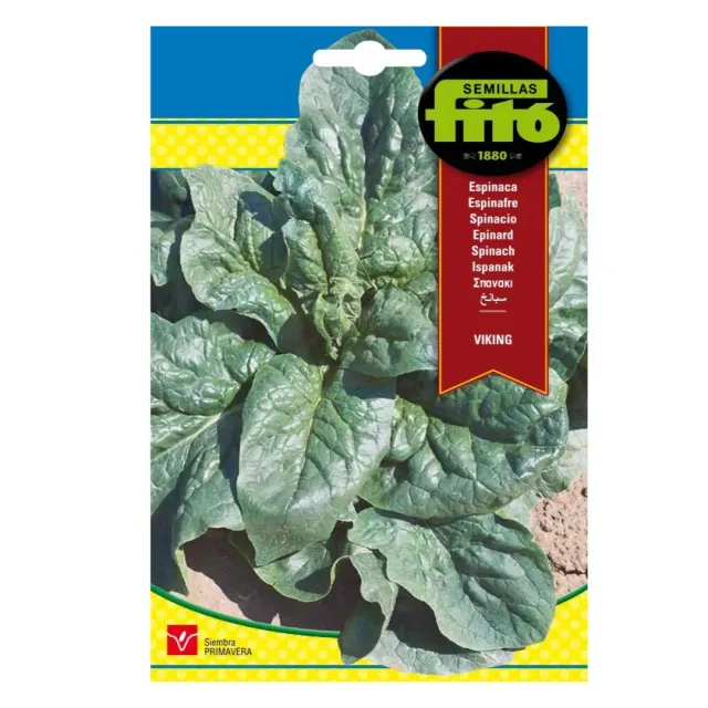 Fito Seeds Spinach Viking 0115