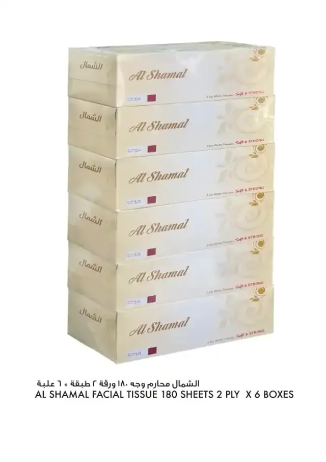 الشمال مناديل وجه طبقتين 180منديل x 6