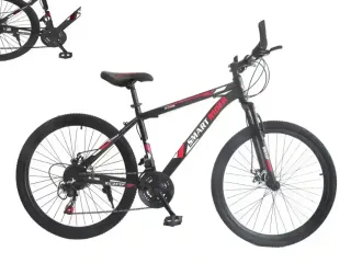 FASHION RIDING BICYCLE 26INCH WT-900-26