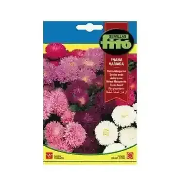 Fito Seeds Queen Daisy Dwarf Varied 06566