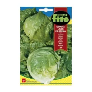 Fito Seeds Lettuce Great Lakes 0209