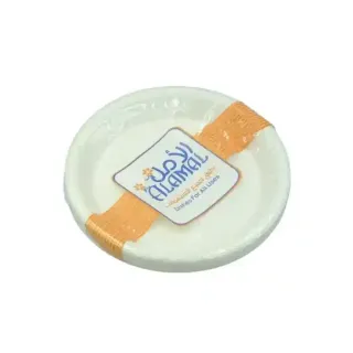 طبق بلاستيك 10