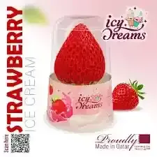 Ice Dreams Strawberry Ice Cream 75g