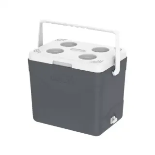 Cosmo Ice Box Picnic 24 Liter