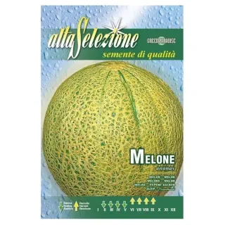 Alta Melon Seeds Ananas 4g