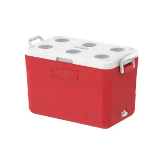 Cosmoplast Keep Cold Medium Ice Box, 46L