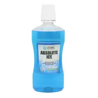 Absolute Ice Mint Water Coolmint 500ml