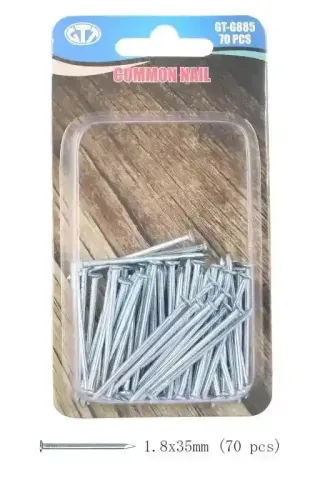 Gtt Common Nail, 70 Pieces
