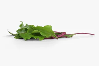 BEET ROOT LEAVES PER PCS