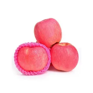 APPLE FUJI