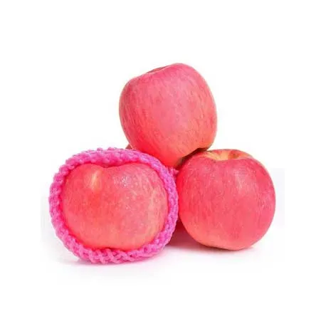 APPLE FUJI