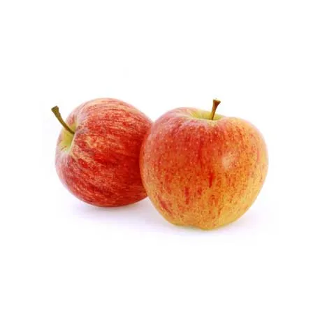 APPLE GALA SMALL AFRICA KG