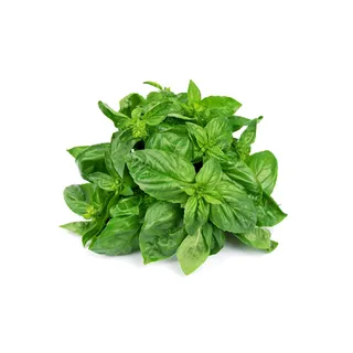 BASIL LEAVES