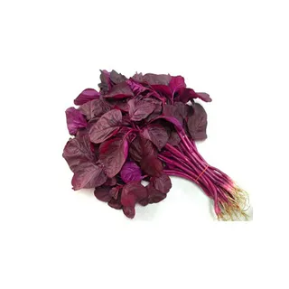 SPINACH RED 1 PC