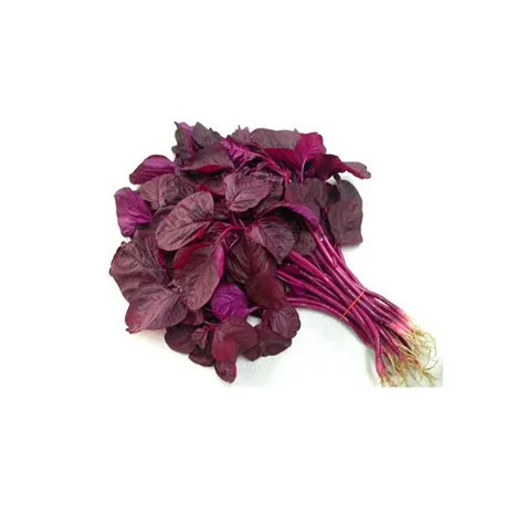 SPINACH RED 1 PC