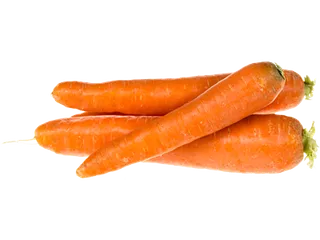 جزر