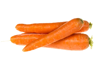 جزر