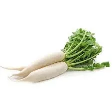 فجل طويل أبيض
