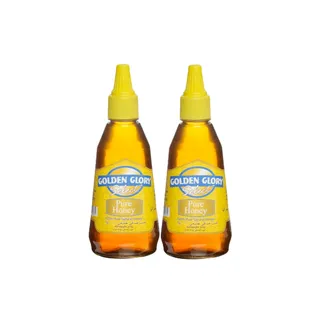 GOLDEN GLORY HONEY SQUEEZE PRO.2X375 G