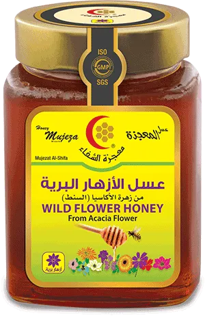 معجزة الشفاء عسل الأزهار البرية 500 جرام