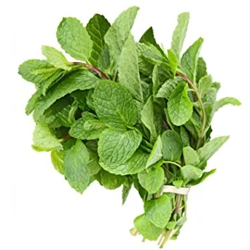 MINT LEAVES 1 PACKET