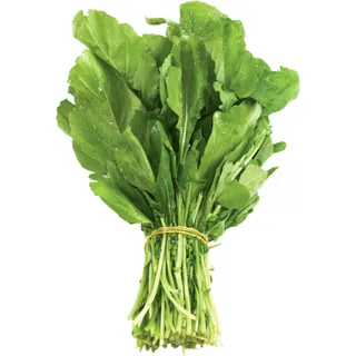 ARUGULA LEAVES 1PC