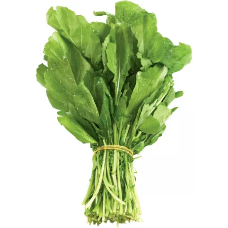 ARUGULA LEAVES 1PC