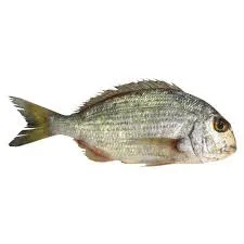 FISH KARKAFAN 1KG