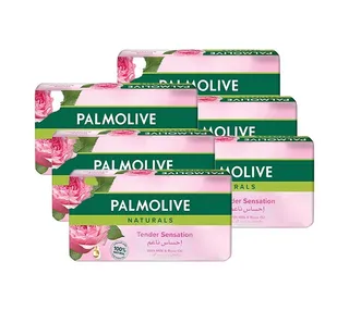 Palmoilve Naturals with Milk & Rose oil 6 x 120 Gm