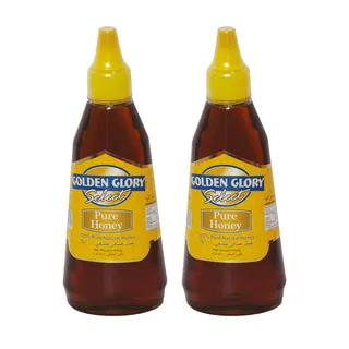 GOLDEN GLORY HONEY SQUEEZE 2X500 GR
