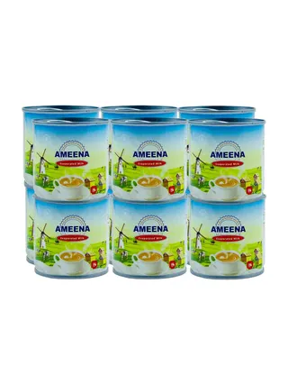 AMEENA EVAPORATD MILK 12*170 ML
