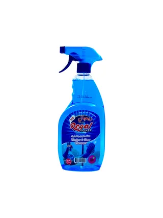 REGAL POWER WINDOW & GLASS CLEANER 750ML