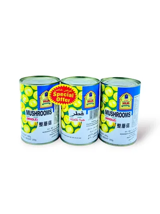 HILAL WHOLE MUSHROOM WHOLE 3x425 GR