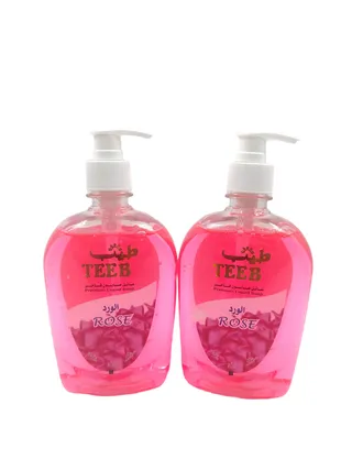 TEEB LIQUID SOAP 2 X 500 ML