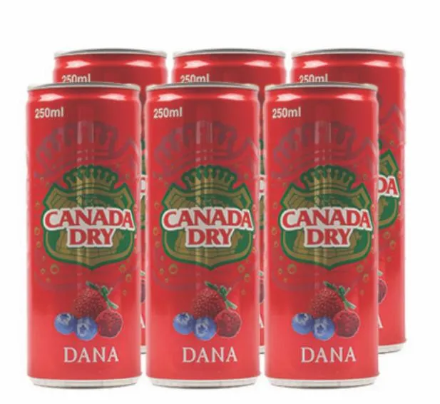 Canada Dry Dana 6x250ml (multipack)