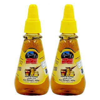 أمريكان فالي عسل نقي 2*400 جرام