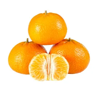 MANDARIN TURKEY